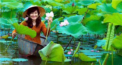 Best Collection of Vietnam Tours 2024