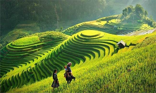 Trekking in magnificent scenery of Sapa