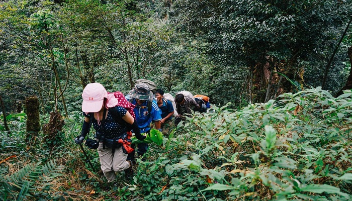 Discover the Beauty of Cuc Phuong National Park and Mai Chau 3 Days