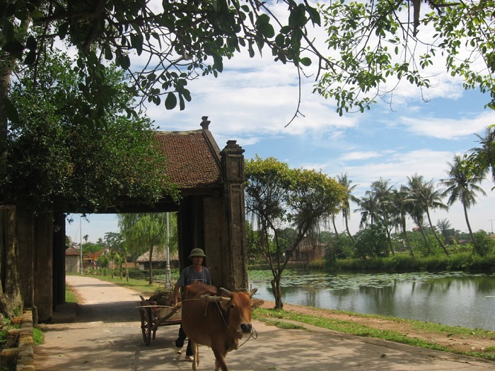 Duong Lam Ancient Village Tour
