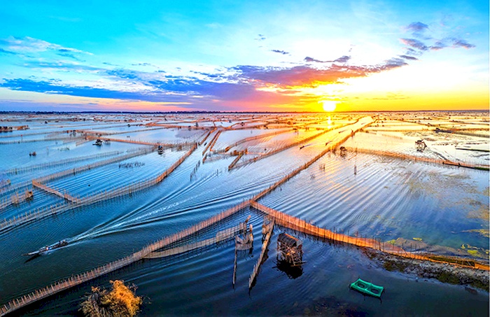 Phá Tam Giang – Kinh nghiệm du lịch 2025 từ A-Z cho chuyến đi trọn vẹn -  Lalago